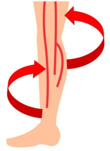 ふくらはぎのポンプ作用