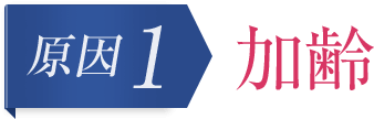 原因1 加齢