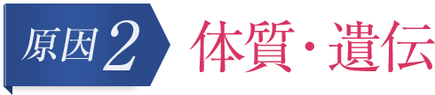 原因2 体質・遺伝