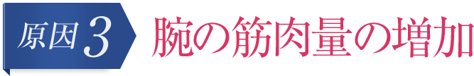 原因3 腕の筋肉量の増加