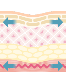 筋肉の緊張をやわらげ、徐々にあらわれてきます。