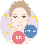 美肌・ひきしめ
