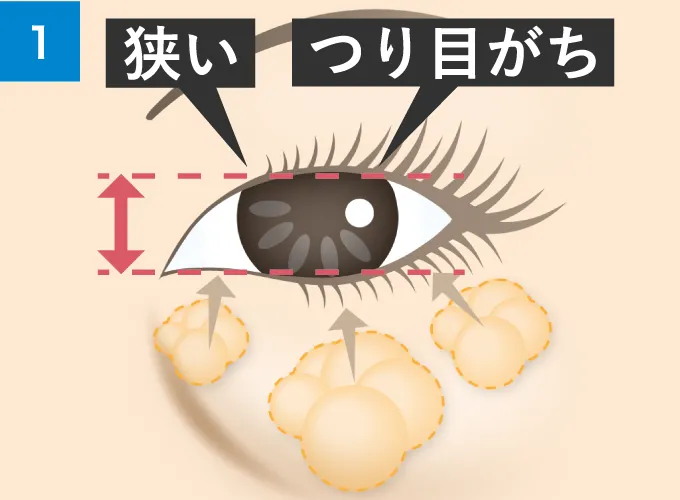 狭い・ツリ目がち