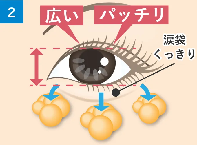 狭い・ツリ目がち