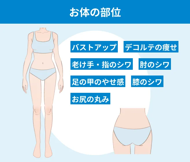 お体の部位