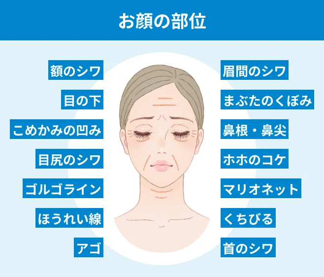 お顔の部位