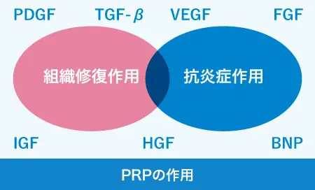 PRPの作用
