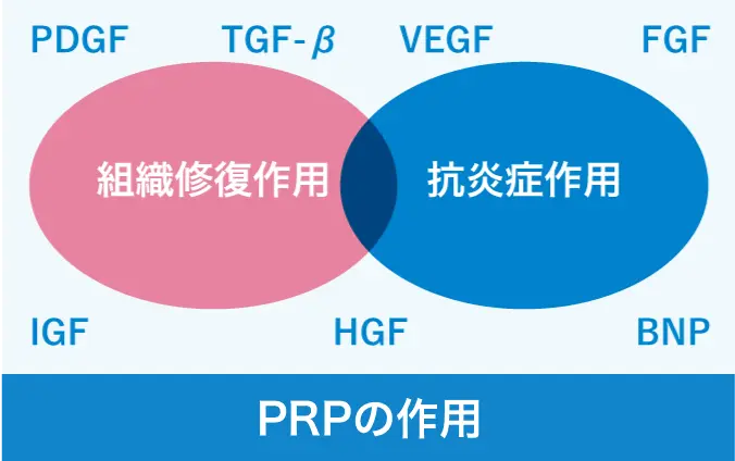 PRPの作用
