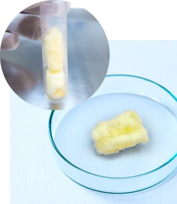 フリーズドライ化したPRP