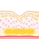 肌に均一に浸透します