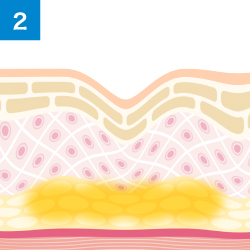 肌に均一に浸透します